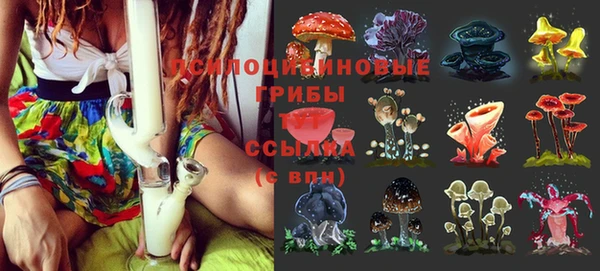 бутират Вяземский