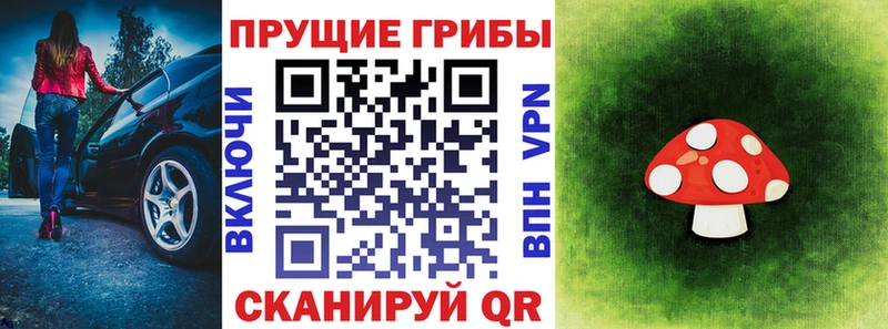 Галлюциногенные грибы прущие грибы  blacksprut ссылки  Зеленокумск  купить наркотик 